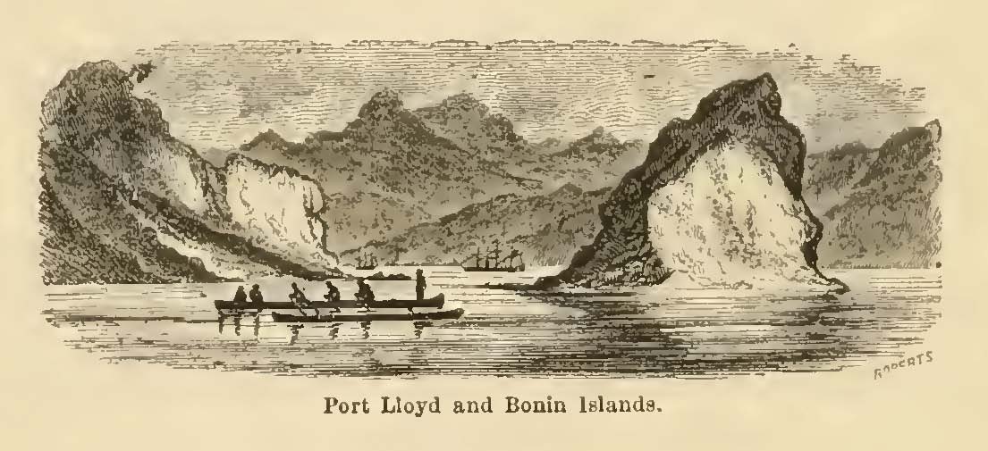 Port Lloyd and Bonin Islands.